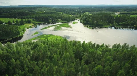 Aerial Shot of Large River Surrounded by Pine Forest Video stock 65247014