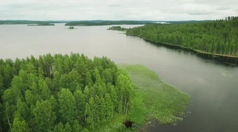 Aerial Shot of Large River Surrounded by Pine Forest Stock Footage 65247438