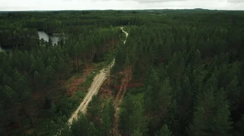 Aerial Shot of Large River Surrounded by Pine Forest Stock Footage 65251912