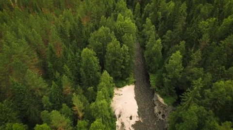 Aerial Shot of Large River Surrounded by Pine Forest Stock Footage 65253757