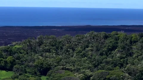 Aerial Shot of a Large Section of Seaside Covered by Solidified Volcanic Lava Stock Footage 130359276