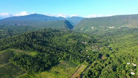 Aerial shot of large vineyard fields among the mountains. A beautiful footage of Stock Footage 144681624
