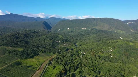 Aerial shot of large vineyard fields among the mountains. A beautiful footage of Stock Footage 146864732