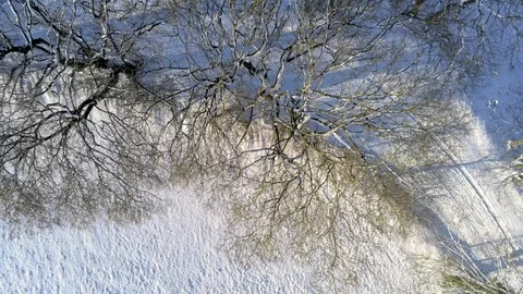 Aerial shot of leaf trees covered in snow at beautiful sunny winter day with  Stock Footage 102558038