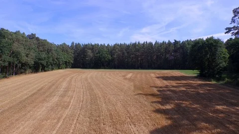 Aerial Shot || LIND 01 Video stock 91977357