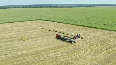 Aerial shot of A loader puts the haystacks into the back of a truck. Harvesti Stock-Footage 137263533
