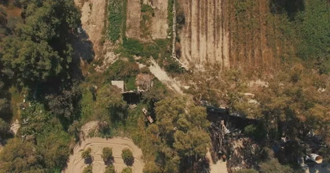 Aerial Shot - Looking down on fields with trees Stock Footage 61284320
