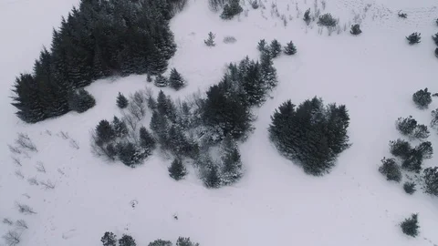 Aerial shot looking down at a snow covered forest on a winter day. Snow on trees 库存影片 88227816