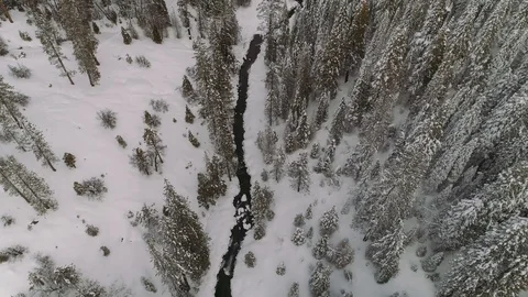 Aerial shot looking down at snow covered forest in California. Creek runs below. Video stock 104239597