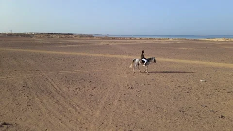 Aerial shot of a man riding a white horse on a wide beach. Stock Footage 209940468