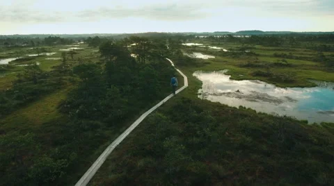 Aerial Shot of Man Walking through Swamp and Marsh Area. Stock Footage 65119652