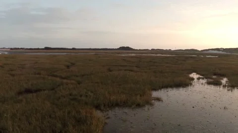 Aerial shot of Marsh 動画素材 44400199