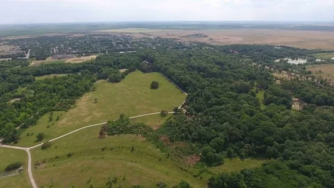 Aerial shot of a meadow, pine forest and straight footways in it in Ukraine Stock-Footage 80543521