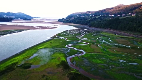 Aerial shot of a meandering river that opens up to the sea Stock Footage