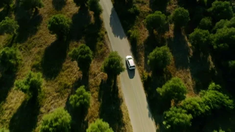 Aerial shot modern white car fast moving on asphalt highway surrounded by green Stock Footage 98491307