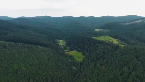 Aerial shot mountain forest Stock Footage 69253796