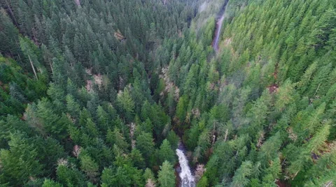 Aerial shot mountain forests Stock Footage 68583950