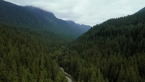 Aerial shot mountain range forest Stock Footage 111105102