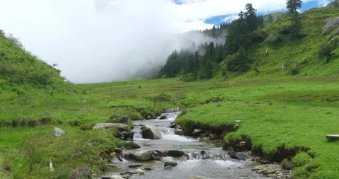 Aerial shot of mountain stream and wildflowers in foggy alpine pasture Stock Footage 346749248