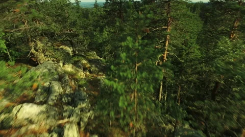 Aerial Shot of Mountains Covered with Pine Forest in Northern Europe Vídeo Stock 65249397