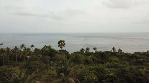 Aerial shot of moving between the palms towards the ocean in Thailand Stock Footage 88016318