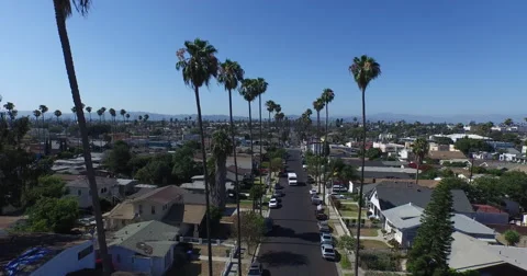 Aerial shot moving down a classic Los Angeles street between the swaying palm tr Vídeos de archivo 61004397