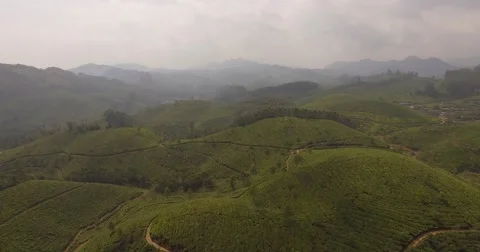Aerial shot, moving down over hills in Munnar, India Vídeo Stock 61551059