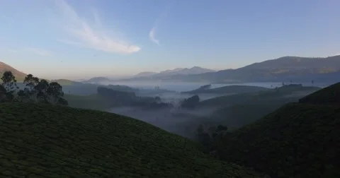 Aerial shot, moving down over green hills into morning fog in Munnar, India Vídeo Stock 61551065