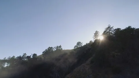 Aerial shot moving forward looking up to the sun shining through trees. Video stock 87826987