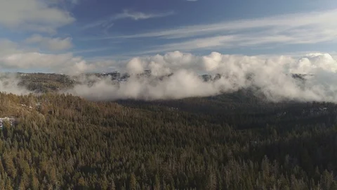 Aerial shot moving left over a forest with light snow dusting and low clouds. 库存影片 128529337