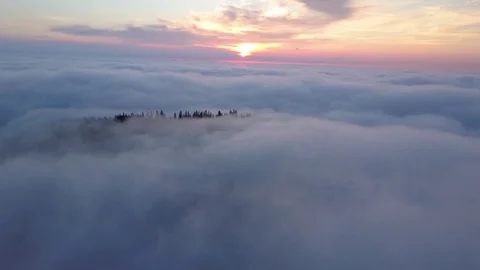 Aerial shot moving to left in thick morning mist with sun rising Stock Footage 77062641