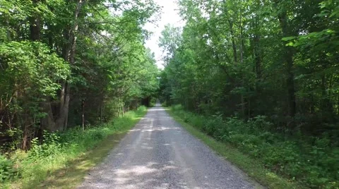 Aerial shot moving through the trees on a dirt road 動画素材 52081144