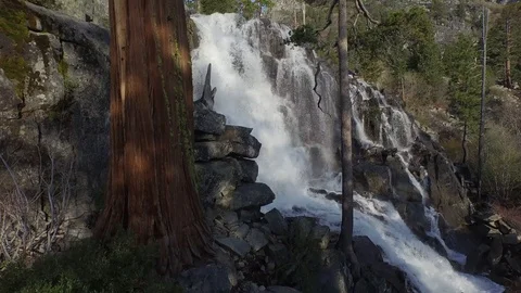 Aerial shot, multi-rotor shadow flying up Redwood tree and waterfall 002126 Stock Footage 90643417