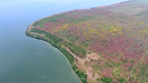 Aerial shot of multicolored agro fields on the Dnipro bank on a sunny day Stock Footage 88201702