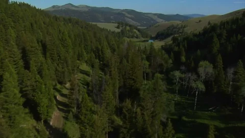 Aerial shot of narrow valley and river Stock Footage