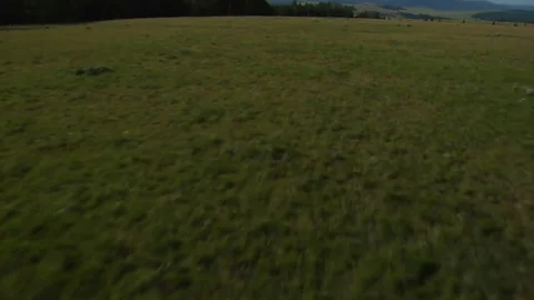 Aerial shot of open rangeland with forest and mountains Stock Footage