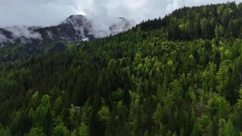 Aerial Shot Over Deep Green Forest Slope with Mist and Clouds Stock Footage 342477595