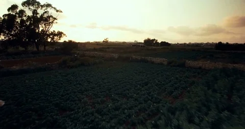 Aerial shot over fields during sunset Stock Footage 75169104