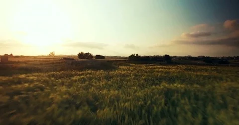 Aerial shot over fields Stock Footage 75169040