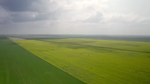 Aerial shot over fields Stock Footage 261712913