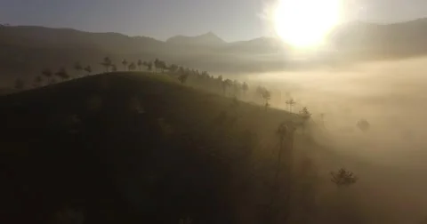 Aerial shot over fog and rolling hills at sunrise in Munnar, India Stock Footage