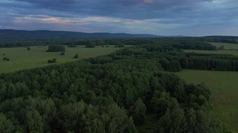Aerial shot over the forest. Stock Footage 113647625