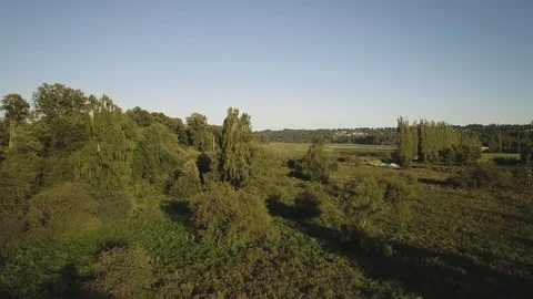 Aerial Shot Over Forest Marsh Area In Park During Golden Hour With Shadows Video stock 100532242