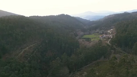 Aerial shot over a forest of trees at sunset, golden hour, in Monte Aloia Stock Footage 235356919