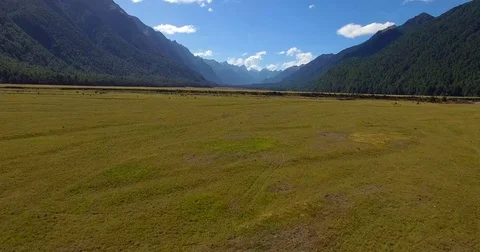 Aerial shot over Knobs Flat in Milford Sound on a beautiful day 스톡 동영상 84239502