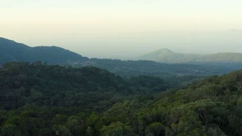 Aerial shot over a large wild forest at dawn, in Ethiopia Stock Footage 200265342