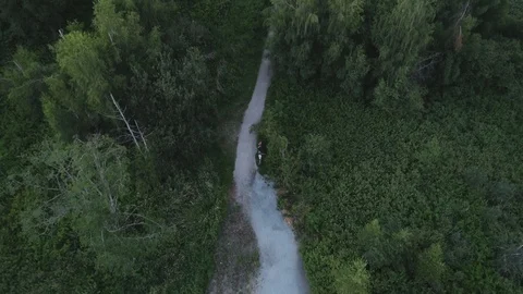 Aerial Shot Over A Pathway Through A Forest In A Public Park Stock Footage 100532159
