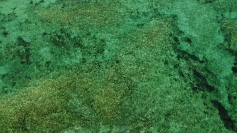 An Aerial Shot Over the Reef Towards the Beach 스톡 동영상 201233111