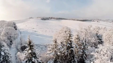 Aerial shot over snowy fields at sunrise 動画素材 219820523