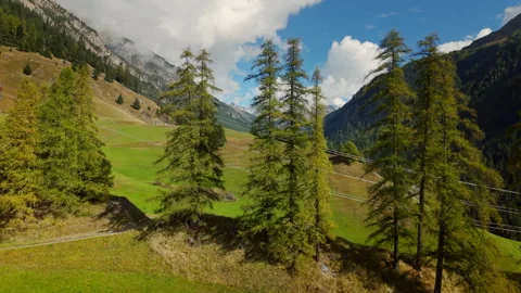 Aerial Shot over trees to Val Tuors Stock Footage 318960730